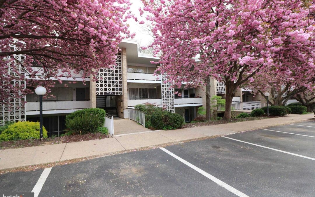 7545 SPRING LAKE DRIVE Unit B-1 BETHESDA, MD 20817