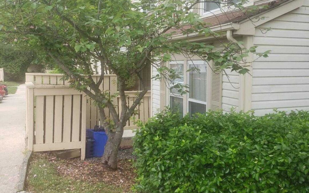 11317 HALETHORPE TERRACE Unit 203 GERMANTOWN, MD 20876